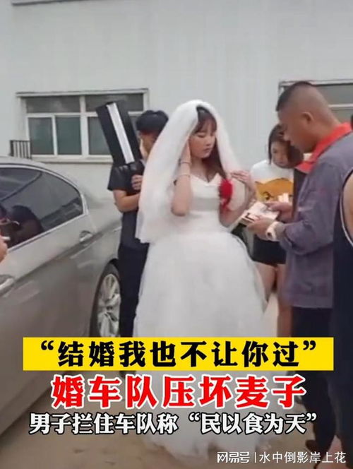 河北邢台 男子马路晒麦子,拦住婚车不让走 压坏麦子结婚也不行