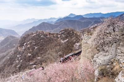 春游邢台九龙峡十里画廊桃花海” 邢台九龙峡桃花美景即将盛装登场_中国